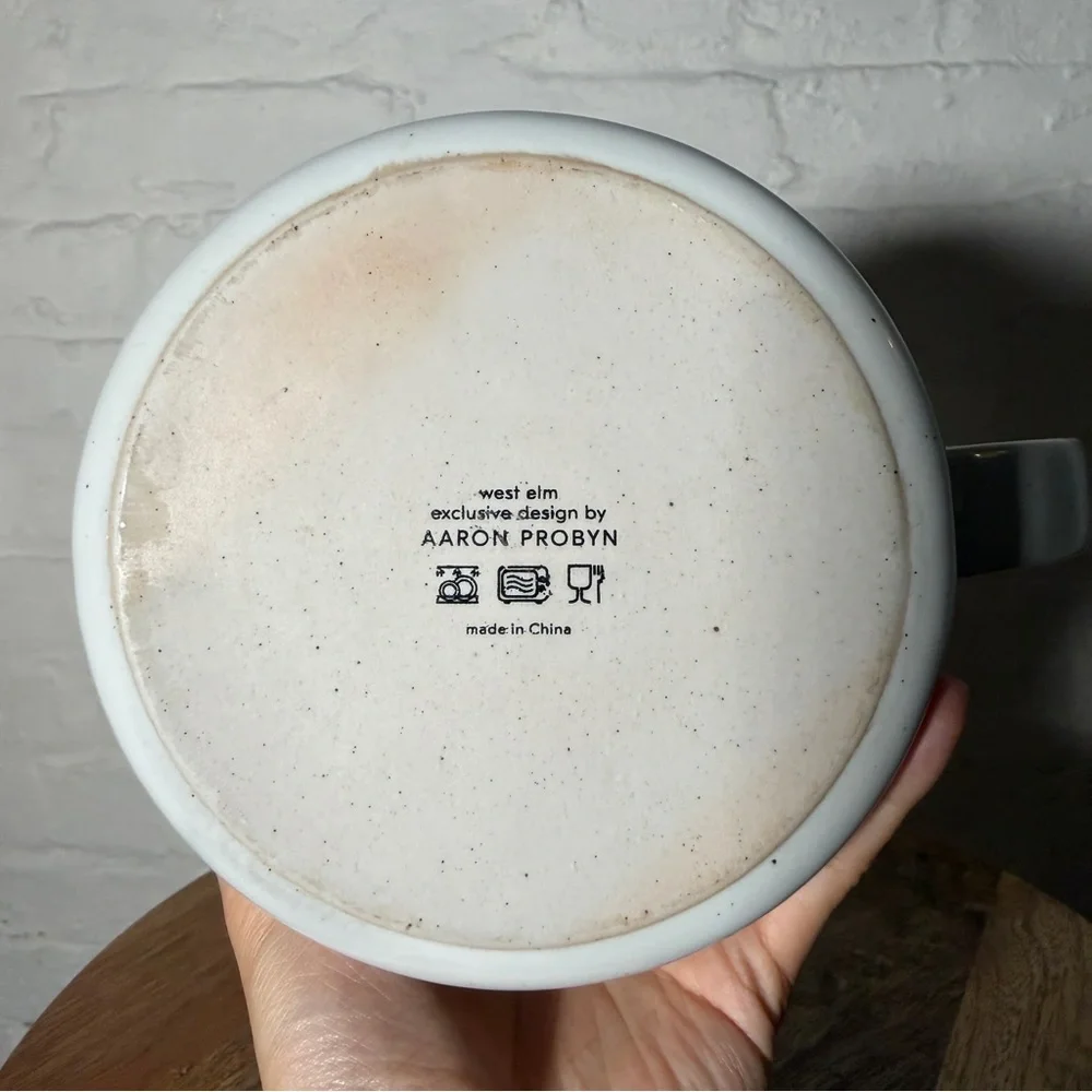 West Elm Aaron Probyn Light Gray Ceramic Water Jug